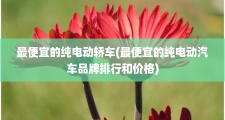 最便宜的纯电动轿车(最便宜的纯电动汽车品牌排行和价格)