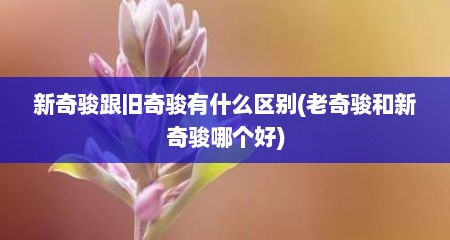 新奇骏跟旧奇骏有什么区别(老奇骏和新奇骏哪个好)