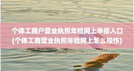 个体工商户营业执照年检网上申报入口(个体工商营业执照年检网上怎么操作)