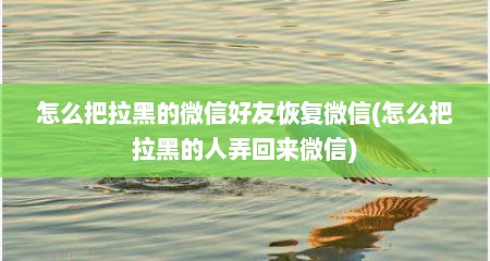 怎么把拉黑的微信好友恢复微信(怎么把拉黑的人弄回来微信)