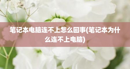 笔记本电脑连不上怎么回事(笔记本为什么连不上电脑)