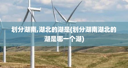 划分湖南,湖北的湖是(划分湖南湖北的湖是哪一个湖)