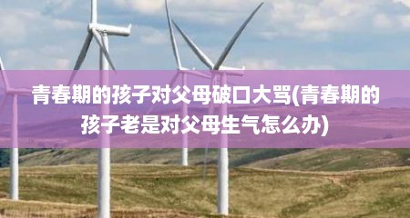 青春期的孩子对父母破口大骂(青春期的孩子老是对父母生气怎么办)