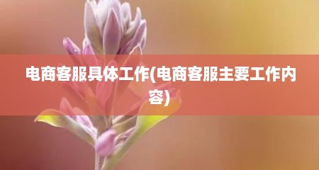 电商客服具体工作(电商客服主要工作内容)