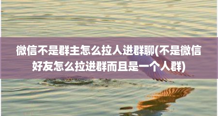微信不是群主怎么拉人进群聊(不是微信好友怎么拉进群而且是一个人群)