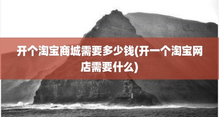 开个淘宝商城需要多少钱(开一个淘宝网店需要什么)