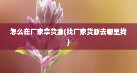 怎么在厂家拿货源(找厂家货源去哪里找)