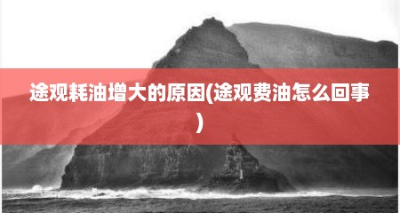 途观耗油增大的原因(途观费油怎么回事)