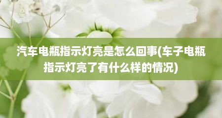 汽车电瓶指示灯亮是怎么回事(车子电瓶指示灯亮了有什么样的情况)