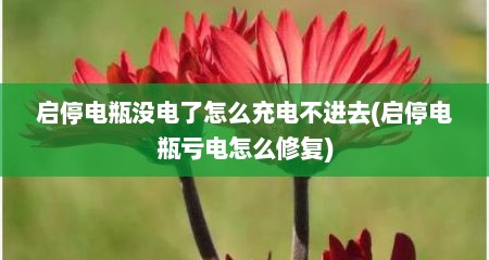 启停电瓶没电了怎么充电不进去(启停电瓶亏电怎么修复)