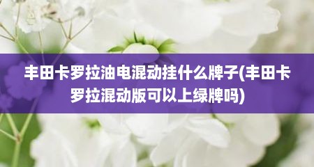 丰田卡罗拉油电混动挂什么牌子(丰田卡罗拉混动版可以上绿牌吗)