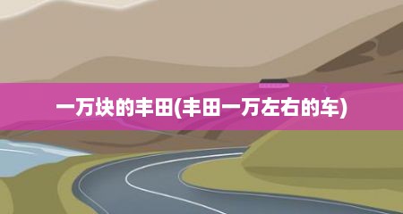 一万块的丰田(丰田一万左右的车)