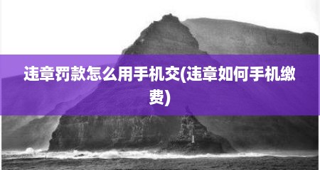 违章罚款怎么用手机交(违章如何手机缴费)