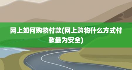 网上如何购物付款(网上购物什么方式付款最为安全)
