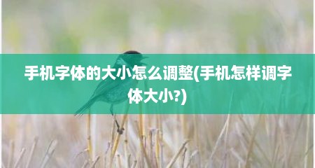 手机字体的大小怎么调整(手机怎样调字体大小?)
