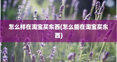怎么样在淘宝买东西(怎么能在淘宝买东西)