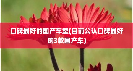 口碑最好的国产车型(目前公认口碑最好的3款国产车)