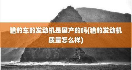 猎豹车的发动机是国产的吗(猎豹发动机质量怎么样)