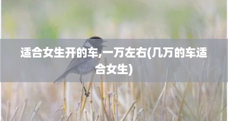 适合女生开的车,一万左右(几万的车适合女生)