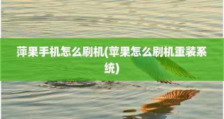 萍果手机怎么刷机(苹果怎么刷机重装系统)