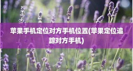 苹果手机定位对方手机位置(苹果定位追踪对方手机)