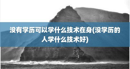 没有学历可以学什么技术在身(没学历的人学什么技术好)