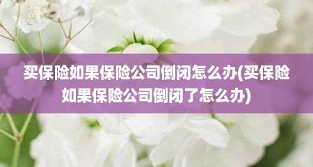 买保险如果保险公司倒闭怎么办(买保险如果保险公司倒闭了怎么办)