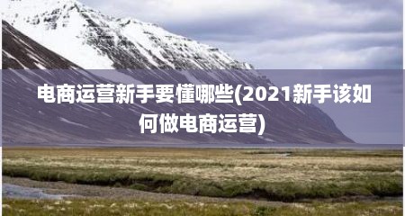 电商运营新手要懂哪些(2021新手该如何做电商运营)