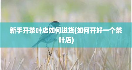 新手开茶叶店如何进货(如何开好一个茶叶店)