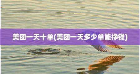 美团一天十单(美团一天多少单能挣钱)