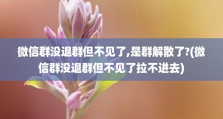 微信群没退群但不见了,是群解散了?(微信群没退群但不见了拉不进去)