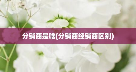 分销商是啥(分销商经销商区别)