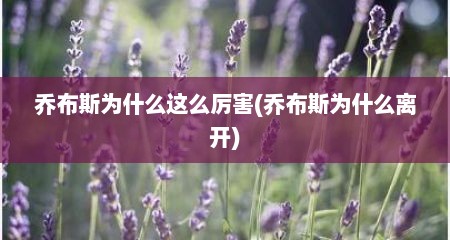 乔布斯为什么这么厉害(乔布斯为什么离开)