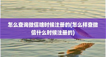 怎么查询微信啥时候注册的(怎么样查微信什么时候注册的)