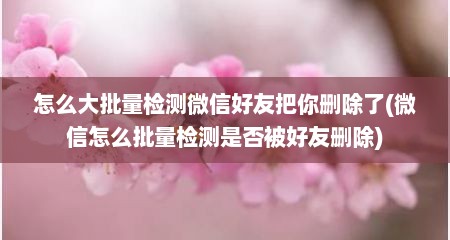 怎么大批量检测微信好友把你删除了(微信怎么批量检测是否被好友删除)