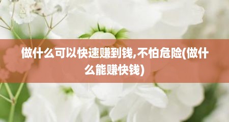 做什么可以快速赚到钱,不怕危险(做什么能赚快钱)