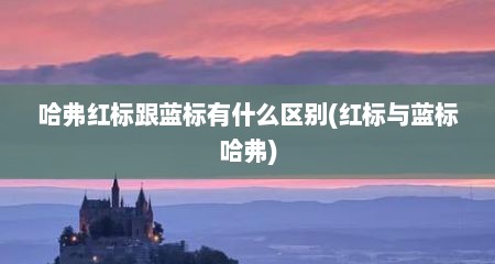 哈弗红标跟蓝标有什么区别(红标与蓝标哈弗)