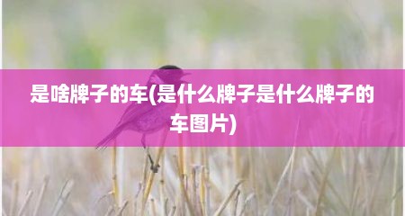 是啥牌子的车(是什么牌子是什么牌子的车图片)