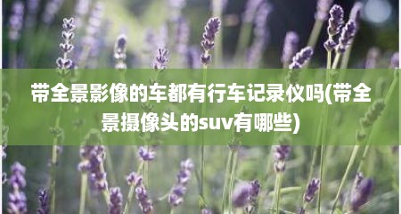 带全景影像的车都有行车记录仪吗(带全景摄像头的suv有哪些)