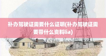 补办驾驶证需要什么证明(补办驾驶证需要带什么资料lia)