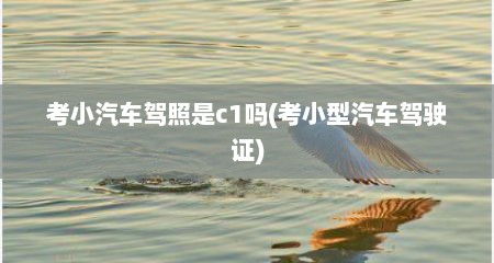 考小汽车驾照是c1吗(考小型汽车驾驶证)