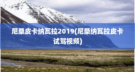 尼桑皮卡纳瓦拉2019(尼桑纳瓦拉皮卡试驾视频)