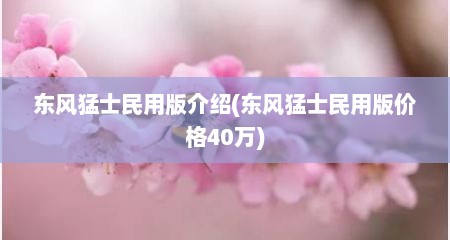 东风猛士民用版介绍(东风猛士民用版价格40万)