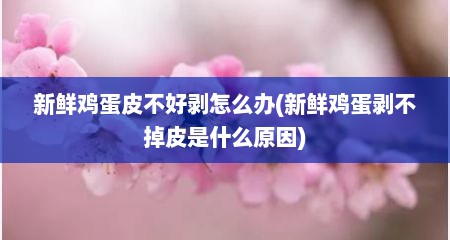 新鲜鸡蛋皮不好剥怎么办(新鲜鸡蛋剥不掉皮是什么原因)