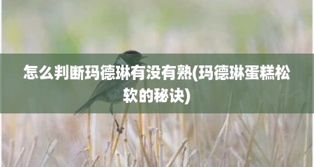 怎么判断玛德琳有没有熟(玛德琳蛋糕松软的秘诀)