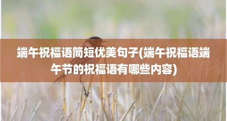 端午祝福语简短优美句子(端午祝福语端午节的祝福语有哪些内容)