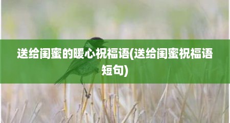 送给闺蜜的暖心祝福语(送给闺蜜祝福语短句)