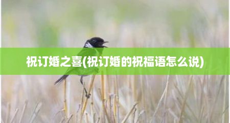 祝订婚之喜(祝订婚的祝福语怎么说)
