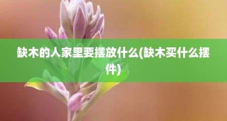缺木的人家里要摆放什么(缺木买什么摆件)