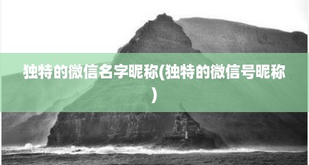 独特的微信名字昵称(独特的微信号昵称)